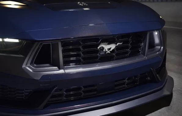 Picture Mustang, Ford, logo, close-up, horse, front view, 2024, Ford Mustang Dark Horse
