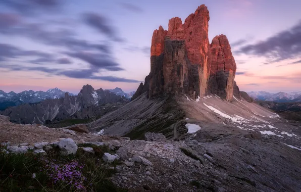 Flowers, mountains, stones, rocks, height, the evening, The Dolomites