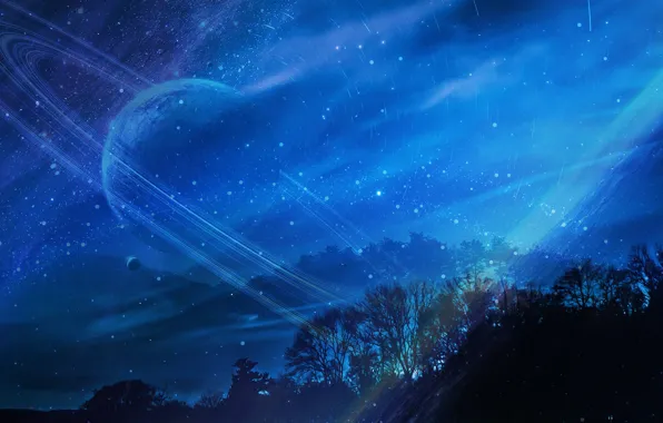 Picture the sky, trees, night, planet