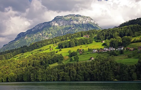 Greens, trees, mountains, lake, home, Switzerland, slope, Lake Lucerne