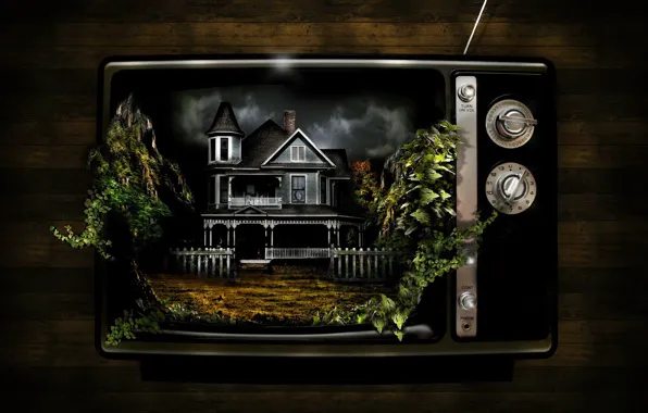 Picture house, plants, strange, TV