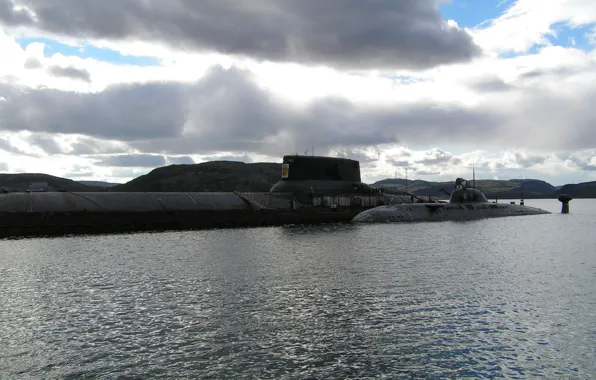 Picture shark, Russia, 941