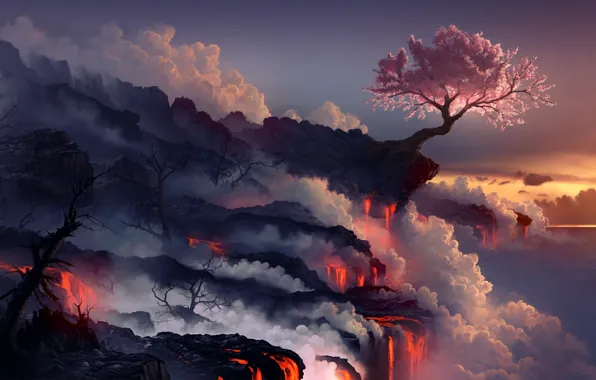 Picture sea, landscape, tree, rocks, smoke, the volcano, Sakura, art