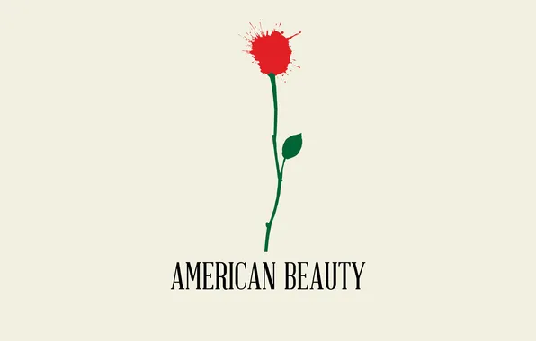 Picture flower, minimalism, American beauty