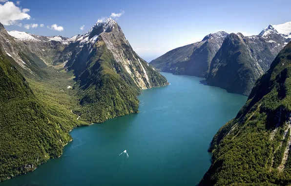 Forest, mountains, lake, New Zealand, national Park