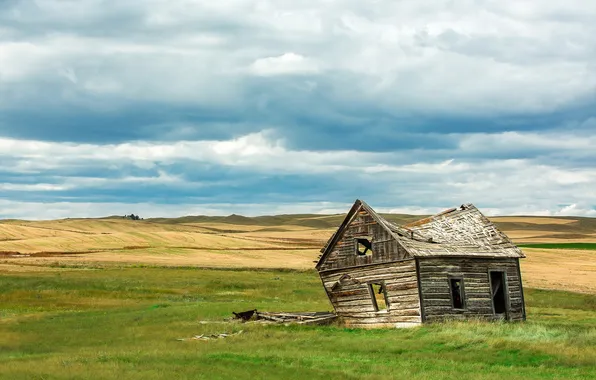 Field, landscape, home