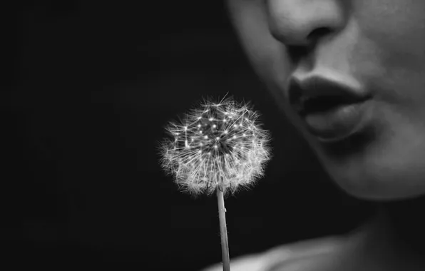 Flower, dandelion, people