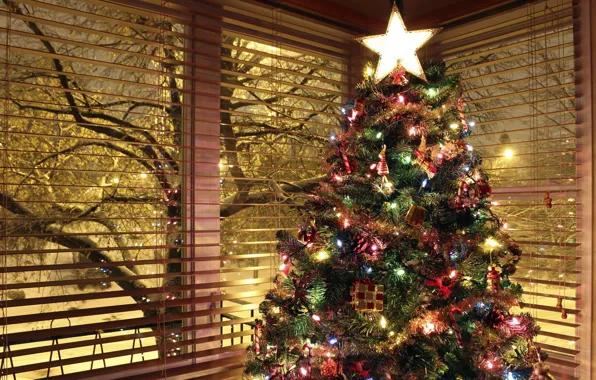 House, holiday, tree