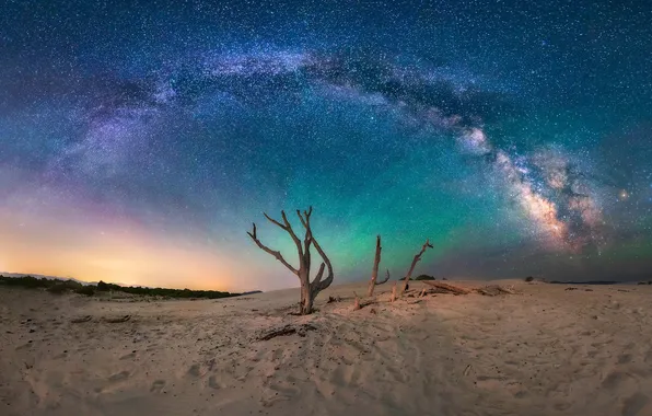 Sand, the sky, space, stars, light, trees, night, desert