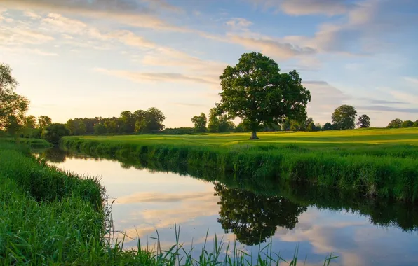 Picture field, forest, the sky, clouds, trees, landscape, nature, river