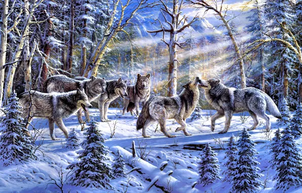 Picture winter, forest, animals, nature, spruce, pack, wolves, painting