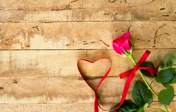 Rose, Tape, Flower, Bud
