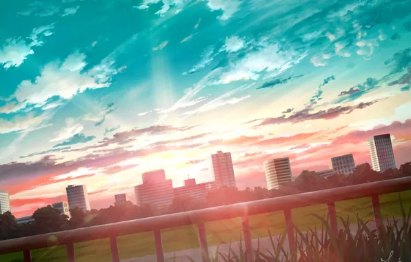 The sky, sunset, the city, dawn