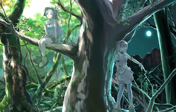 Picture forest, trees, night, the moon, girls, anime, day