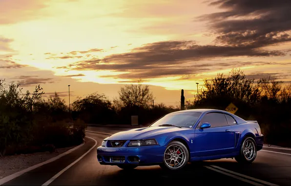 Picture the sun, sunset, Mustang, Ford, Mustang, cars, Ford, cars