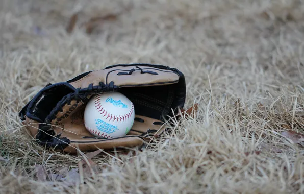 Picture sport, the ball, glove, baseball
