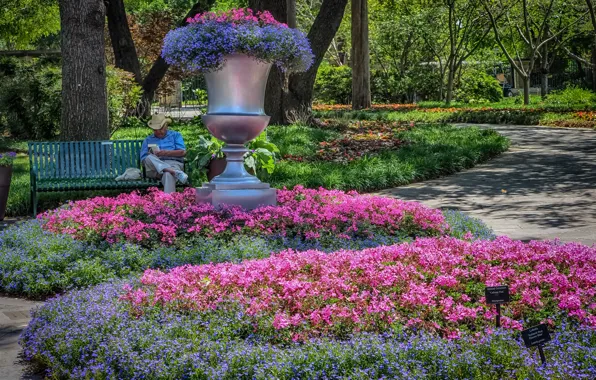 Flowers, bench, Park, track, USA, Dallas, Texas, parks