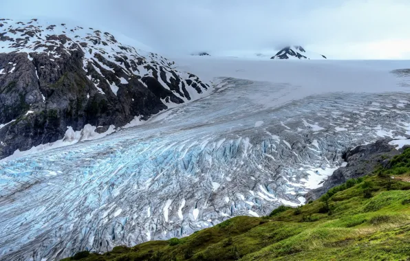 Picture Alaska, nature, Harding Icefield, Kenai Fjord