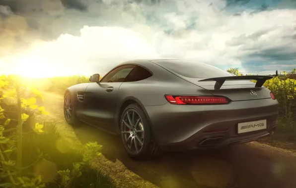 Picture Mercedes-Benz, AMG, Sun, Day, Supercar, Rear, 2015, GT S