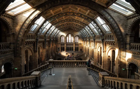 England, London, Museum of natural history, Museum of natural history, Natural History Museum