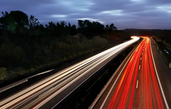 Road, night, lights