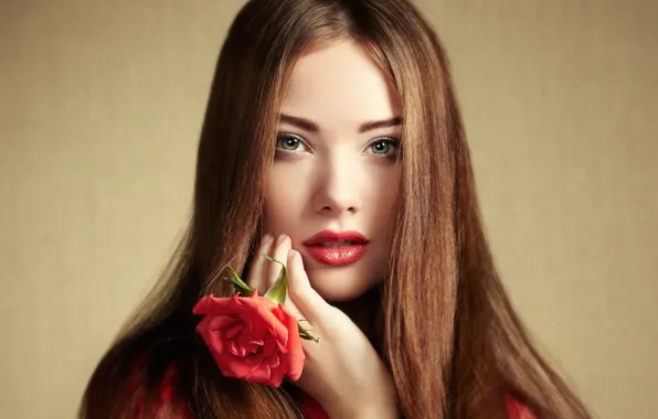 Look, girl, face, hair, rose, portrait, beautiful, Oleg Gekman