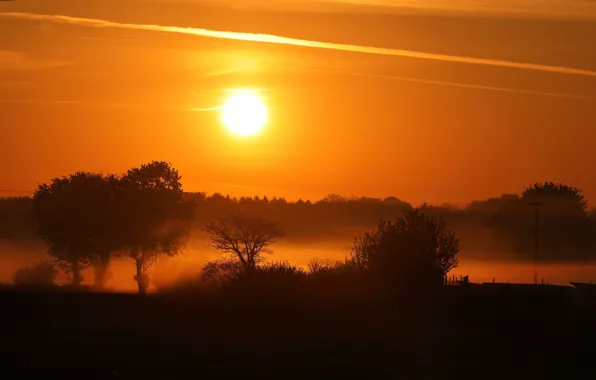Sunset, nature, fog