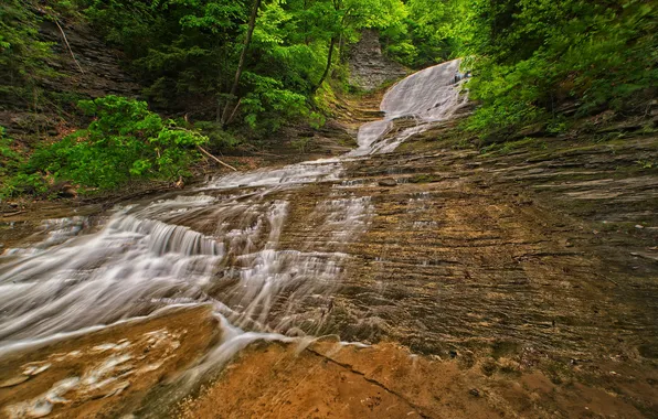 Forest, trees, river, rocks, waterfall, stream, cascade