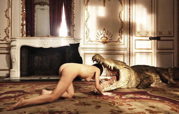 Erotic, girl, background, room, mirror, crocodile, mouth, fireplace