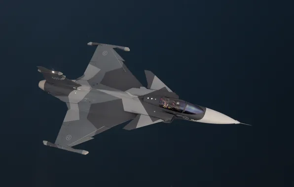 Picture sea, flying, airplane, Gripen, military aircraft, JAS-39 Gripen