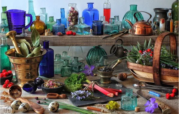 Glass, eggs, kettle, bottle, still life, grass, rhubarb, Laurel