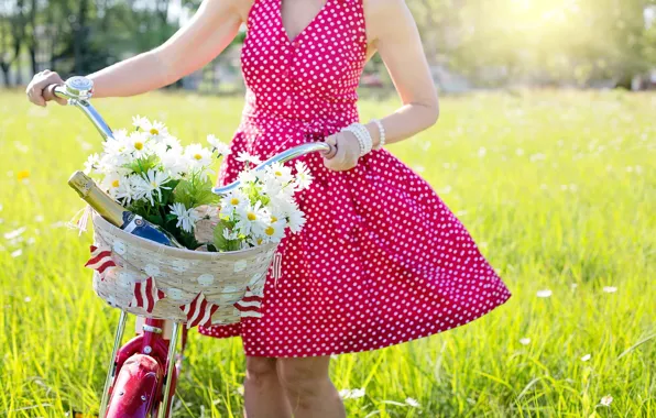 GRASS, FIELD, GREENS, DRESS, BIKE, FLOWERS, The WHEEL, SPRING