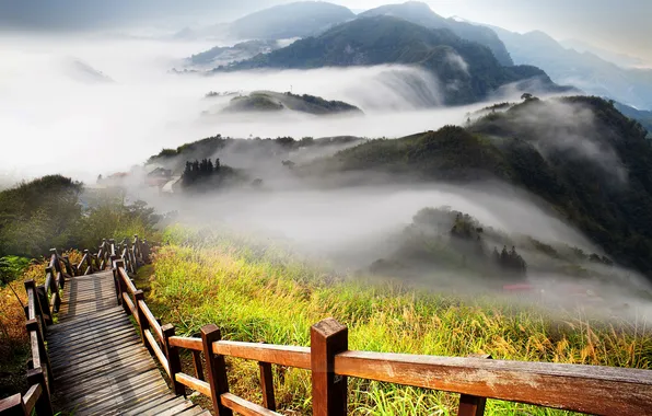 Picture fog, ladder, railings, hills