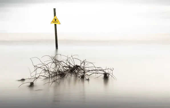 Danger, ecology, danger