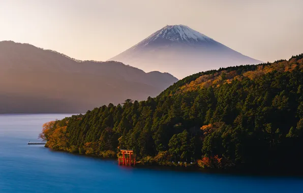 Forest, lake, mountain, the volcano, Japan, Fuji, Japan, Mount Fuji