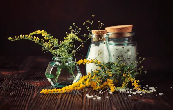Flowers, the dark background, Board, jars, still life, salt, salt shaker