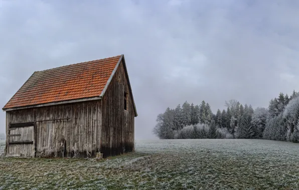 Picture frost, field, house