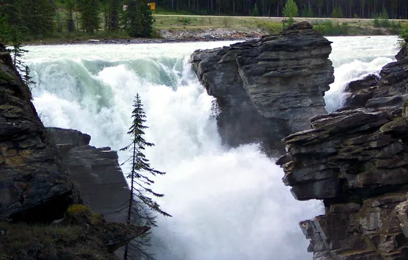 Picture trees, squirt, river, rocks, waterfall, stream