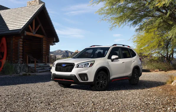 Subaru, Sport, Forester, 2019