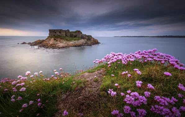 Picture flowers, clouds, abandoned castle