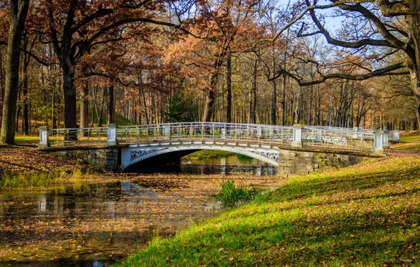 Autumn, leaves, trees, bridge, Park, river, colorful, river
