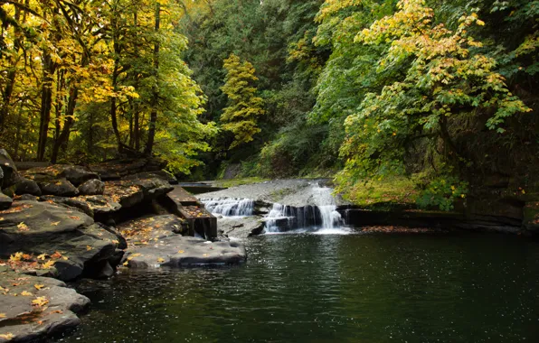 Picture autumn, forest, leaves, landscape, nature, lake, stones, waterfall