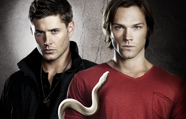 Picture snake, the series, sam, supernatural, dean, Sam, supernatural, Dean