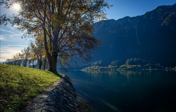 Autumn, trees, mountains, lake, Austria, Buchau