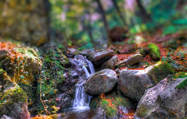 Autumn, forest, trees, river, stones, rocks, stream, special effect