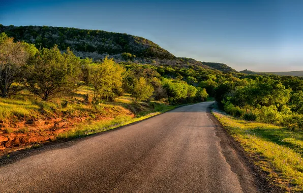 Road, greens, the sun, hills, USA, the bushes, Texas, Plain