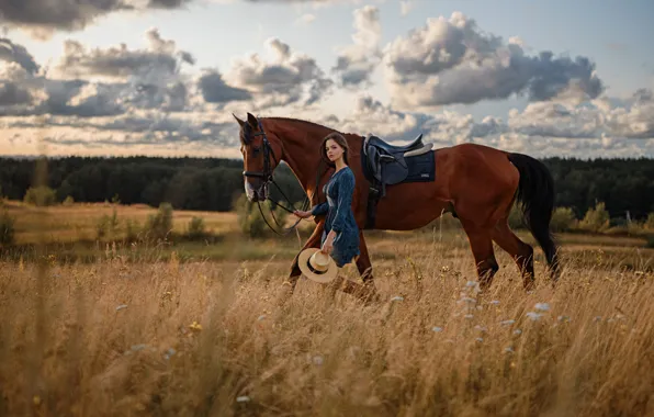 Picture field, the sky, girl, horse, George Chernyadev, Georgy Chernyadyev, Anna Vorontsova