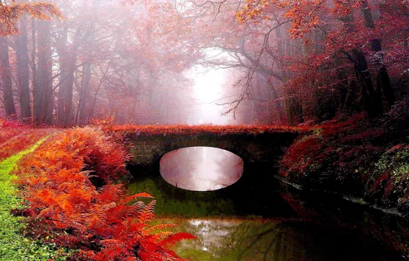Picture autumn, bridge, fog, Park, river