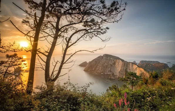 Picture sea, trees, sunset, rocks, coast, Spain, Spain, Asturias