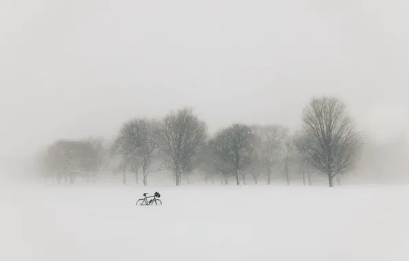 Picture field, snow, bike, fog